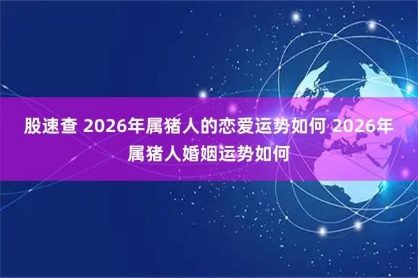 股速查 2026年属猪人的恋爱运势如何 2026年属猪人婚姻运势如何